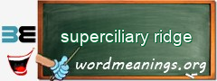 WordMeaning blackboard for superciliary ridge